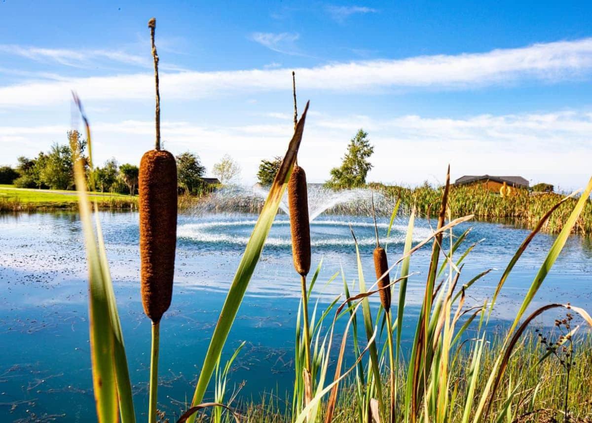 فندق Seven Springs Llanon المظهر الخارجي الصورة